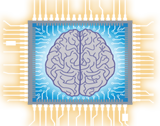 Small Brain